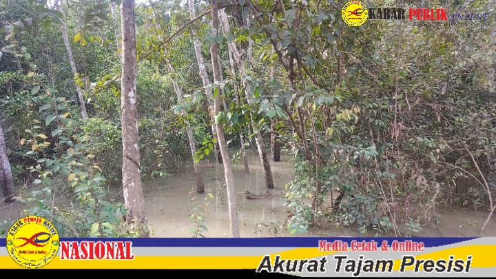 Watermark_1737728126241